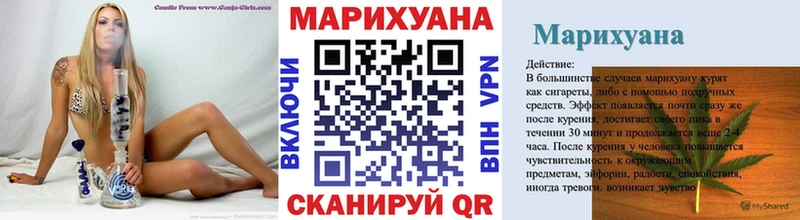 Конопля план  Купить  Багратионовск 